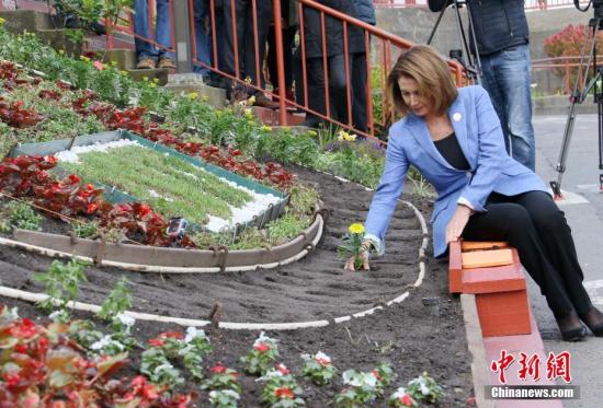 来自旧金山的美国国会少数党领袖佩洛西种下象征生命的黄色雏菊。 <a target='_blank' href='http://www.chinanews.com/'><p  align=