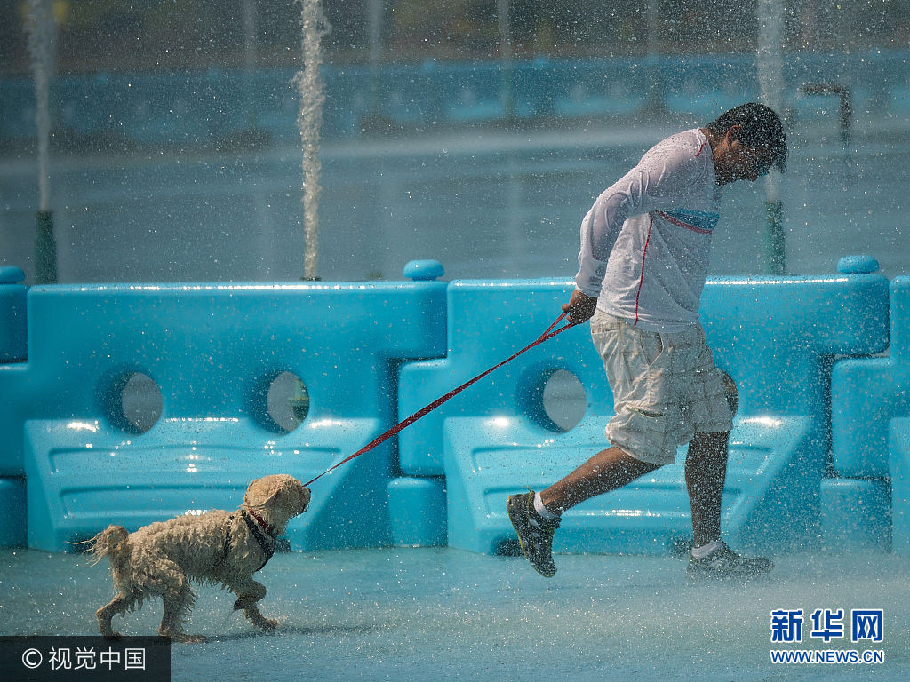 当地时间2017年8月22日，美国纽约，当地遭遇极端炎热天气，气温接近100华氏度（约37摄氏度），民众在公园喷泉旁降温。***_***NEW YORK, NY - AUGUST 22: A man walks his dog through the fountains at Flushing Meadows-Corona Park, August 22, 2017 in the Queens borough of New York City. With heat index values near 100, the New York City area is under a heat advisory on Tuesday. (Photo by Drew Angerer/Getty Images)