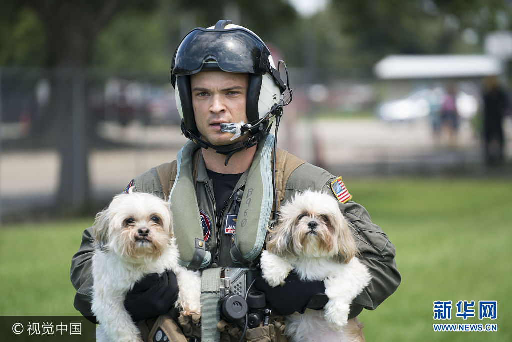 当地时间2017年8月31日，美国得克萨斯州维多，海军士兵在当地展开救援，成功救出7名成人、7名儿童和4只狗。***_***August 31, 2017 - Vidor, Texas, United States: Naval Aircrewman (Helicopter) 2nd Class Jansen Schamp, a native of Denver, Colorado and assigned to the Dragon Whales of Helicopter Sea Combat Squadron (HSC) 28, rescues two dogs at Pine Forrest Elementary School, a shelter that required evacuation after flood waters from Hurricane Harvey reached its grounds. The mission resulted in the rescue of seven adults, seven children and four dogs. U.S. Fleet Forces Command sent personnel and assets to bolster Northern Command's support of FEMA's assistance to federal, state and local authorities ongoing relief efforts in the aftermath of Hurricane Harvey. Hurricane Harvey formed in the Gulf of Mexico and made landfall in southeastern Texas, bringing record flooding and destruction to the region. (Polaris)