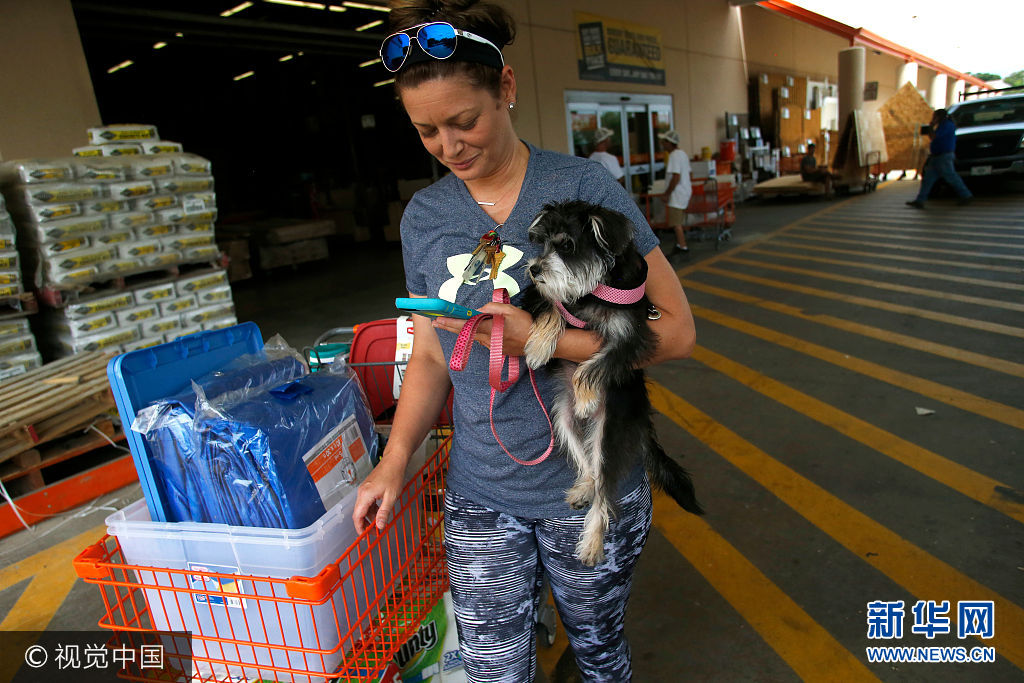 当地时间2017年9月5日，美国佛罗里达州坦帕，民众在商店采购食品、饮用水和三合板等物资，准备迎接飓风“艾玛”。“艾玛”当天增强为5级飓风，并向佛罗里达州靠近。***_***TAMPA, FL - SEPTEMBER 05:  Michelle Smith checks her smart phone for news while clutching her dog Sophia as she leaves a Home Depot store with storm preparation supplies as residents in the area prepare ahead of Hurricane Irma on September 05, 2017 in Tampa, Florida. The National Hurricane Center (NHC) has reported that  Hurricane Irma has strengthened to a Category 5 storm as it crosses into the Caribbean and is expected to move on towards Florida.  (Photo by Brian Blanco/Getty Images)
