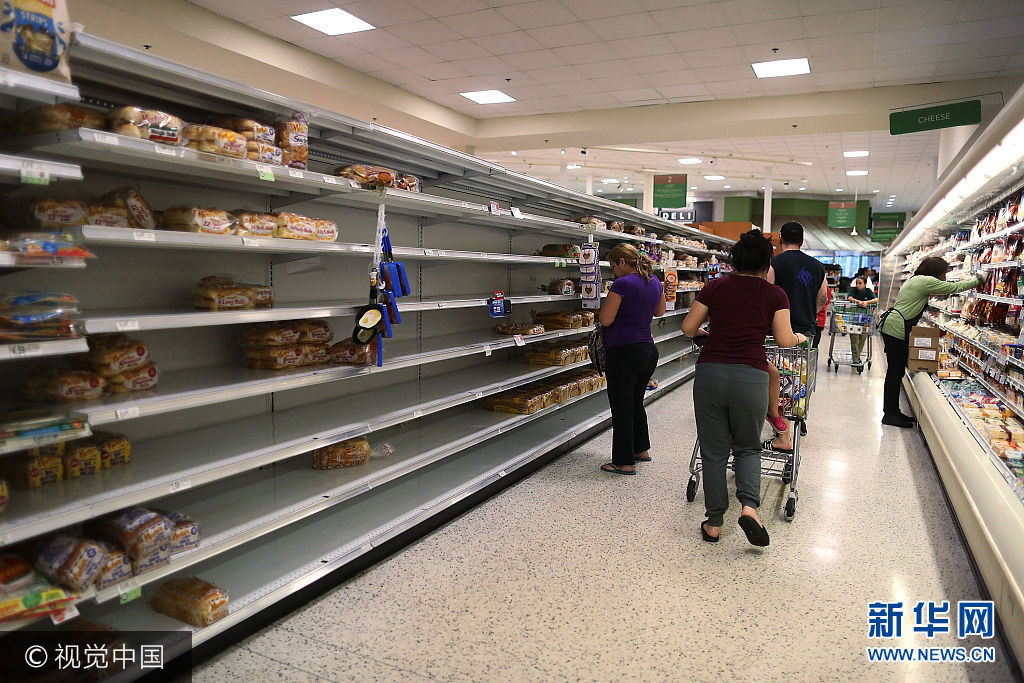 当地时间2017年9月5日，美国佛罗里达州霍姆斯特德，民众在商店采购食品、饮用水和三合板等物资，准备迎接飓风“艾玛”。“艾玛”当天增强为5级飓风，并向佛罗里达州靠近。***_***HOMESTEAD, FL - SEPTEMBER 05: Nearly empty shelves are seen as people stock up on bread in preparation for Hurricane Irma on September 5, 2017 in Homestead, Florida. Preparations are underway as Irma has intensified to a Category 5 hurricane and landfall in Florida is a possibility.  (Photo by Joe Raedle/Getty Images)