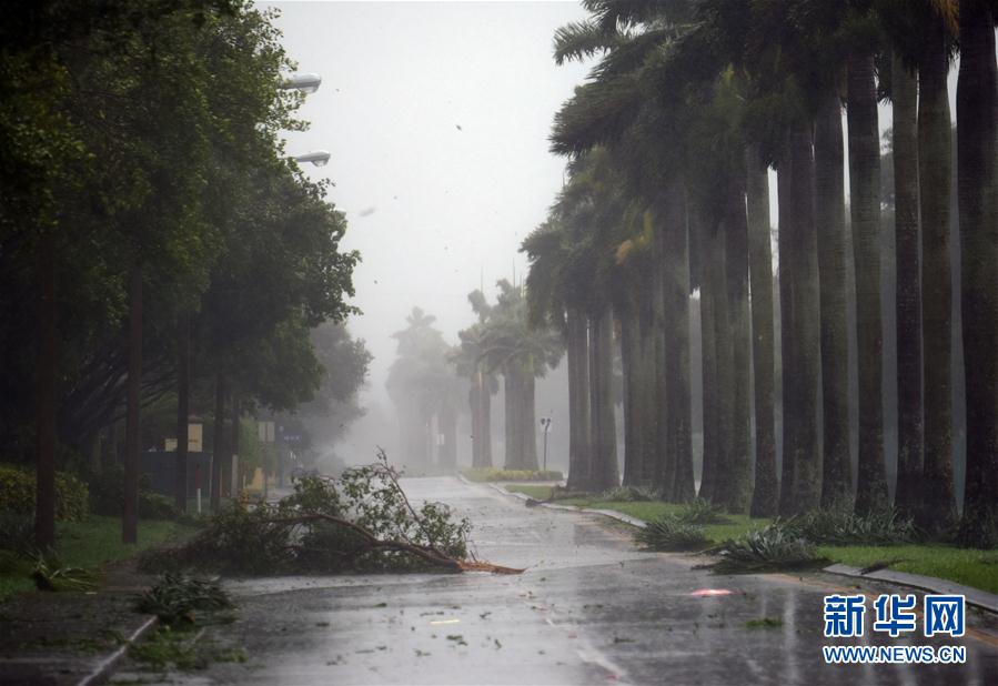 （新華視界）（1）颶風“艾爾瑪”登陸美國佛羅裏達