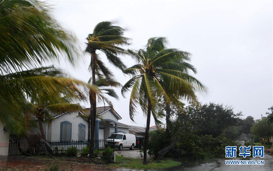 （新華視界）（2）颶風“艾爾瑪”登陸美國佛羅裏達