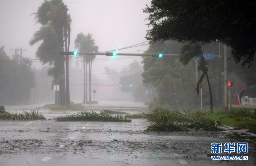 （新華視界）（3）颶風“艾爾瑪”登陸美國佛羅裏達