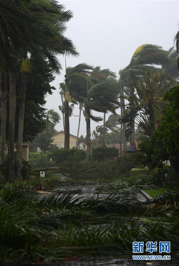 （新華視界）（4）颶風“艾爾瑪”登陸美國佛羅裏達