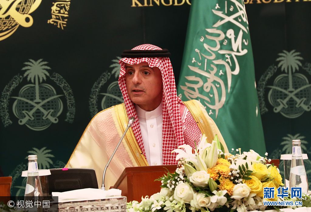 沙特国王萨勒曼会见来访的美国国务卿蒂勒森