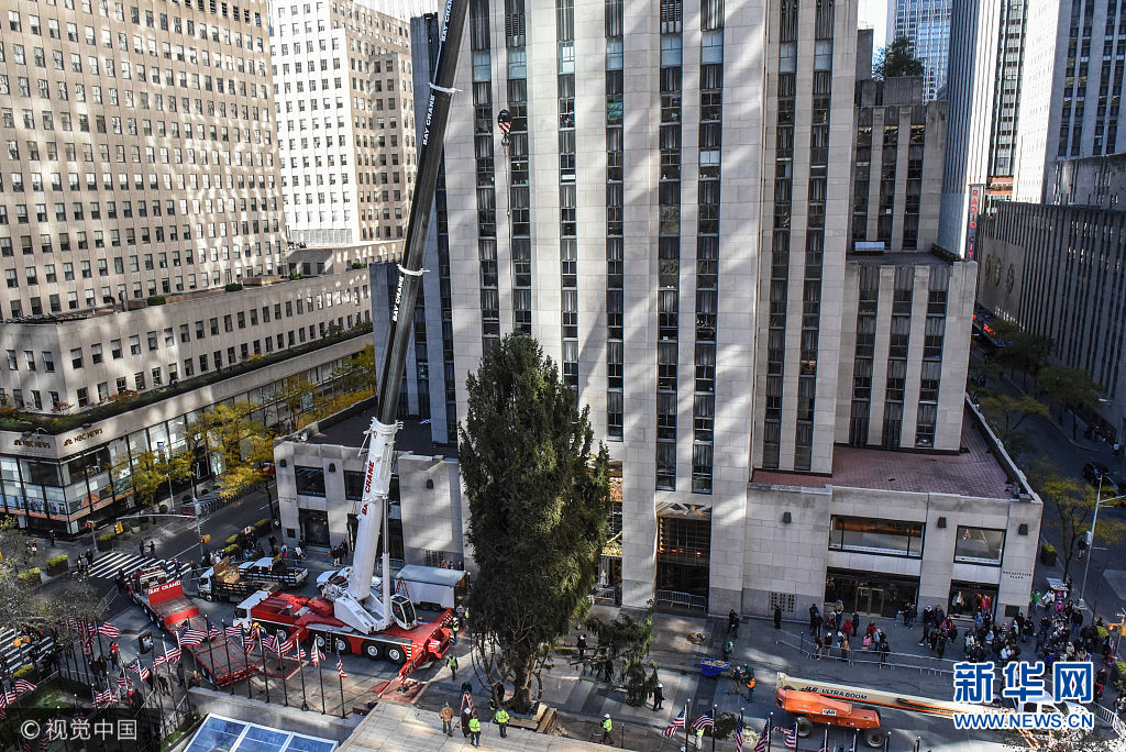 纽约洛克菲勒中心迎来圣诞树 23米云杉屹然挺立