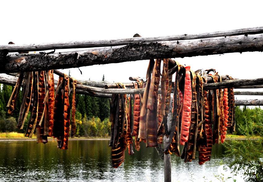 因纽特人村落晾制的三文鱼  于世文  摄