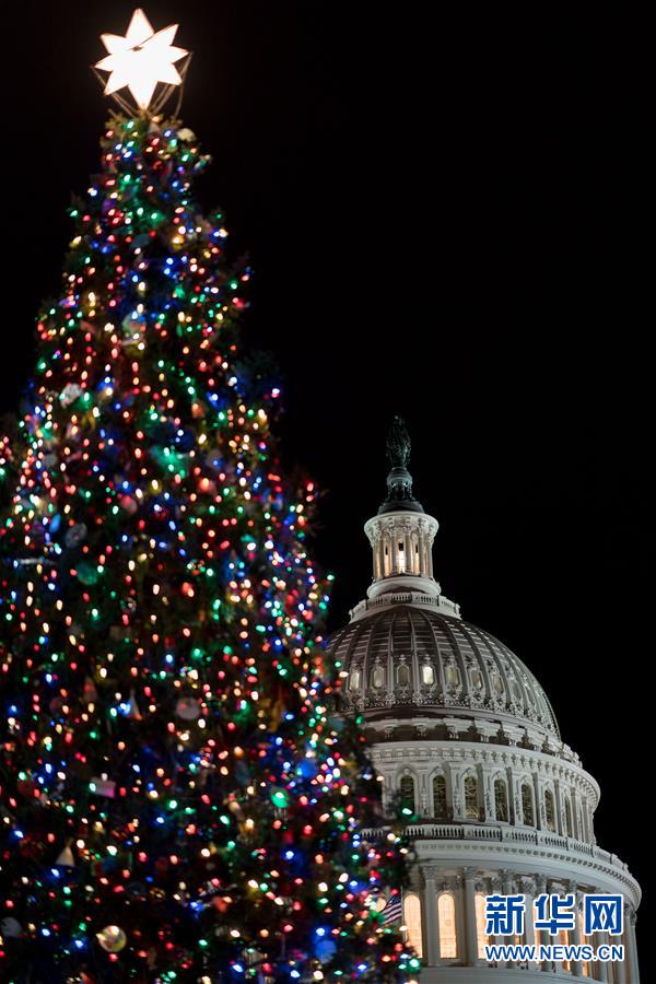 （国际）（2）华盛顿点亮国会圣诞树