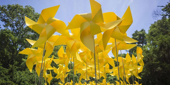 紐約展望公園展出7000只折紙風車 成別樣風景線