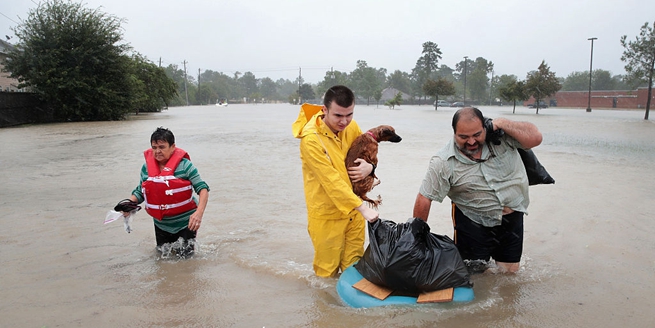 美国得州遭飓风袭击洪水泛滥 民众灾难中守护爱宠