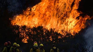 强风助势美国南加火灾 州长:冬季山火将成新常态