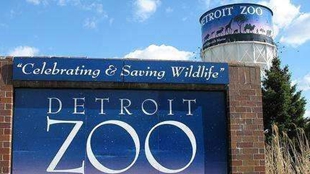 倡導環保 美動物園擬給遊客發“糞便”